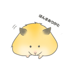 PON is a goldenhamster
