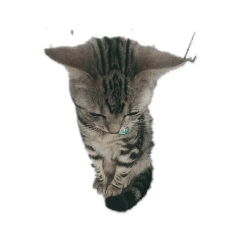 akiko_20190109201015