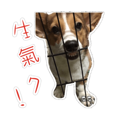 熊家の美女屁屁