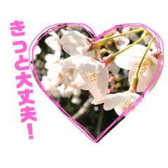 Flower photo stamp