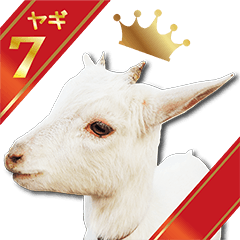 Goat 7 from Rindo-ko