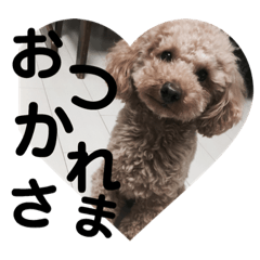 kaho_20190115183049