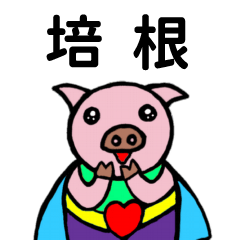 ShanShan Pig Name sticker No.1245