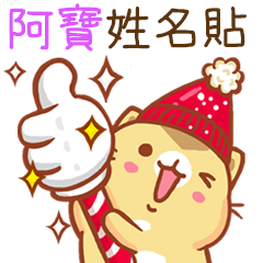 ”阿寶 冬季限定”扭扭貓姓名貼Q