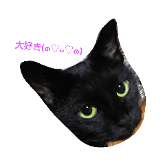 HAZUKI_20190115114723