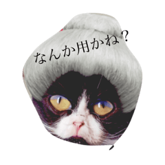 Chiharu_20190114173405