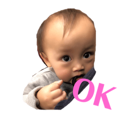 koa_2