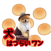 kazu._.20181224165421..