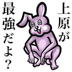 Pink bunny sticker! Uehara Uenohara