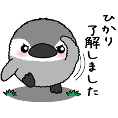 Round penguin 135