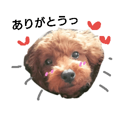 eiko_20190113212809