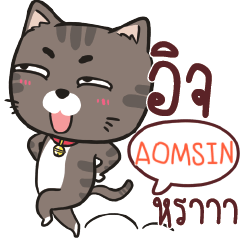 AOMSIN charcoal meow e