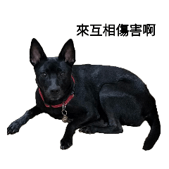 嚕嚕公主的日常