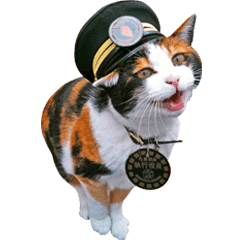 The Stationmaster Tama Friends Sticker Line Stickers Line Store