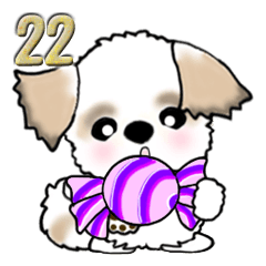 Shih Tzu dog (Give a candy ball) vol.22
