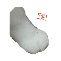 啾啾啾啾啾啾