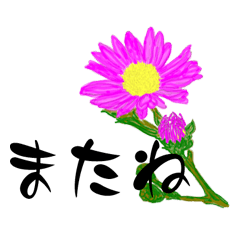 Flower language Sticker