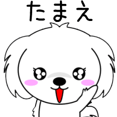Tamae only Cute Animation Sticker