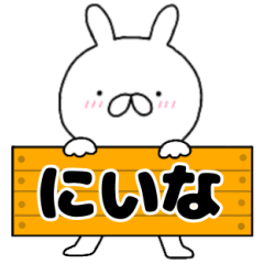 A dedicated name rabbit Niina