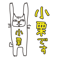 Only for Mr. Oguri Banzai Cat