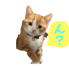 omochi_20190116221935