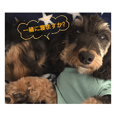 Tommy_20190114142836