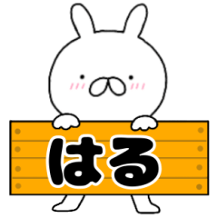 A dedicated name rabbit Haru