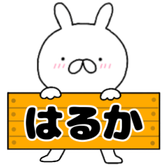 A dedicated name rabbit Haruka