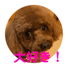 smile_20190116225048