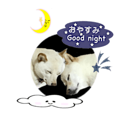 BUBU_201901111641185612