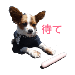 HIDe_20190116172604