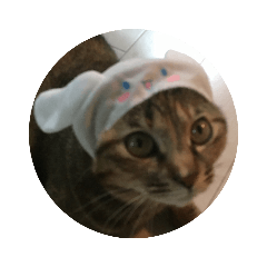 mizuki_20190116122918