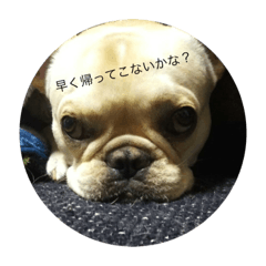 Riku_20190116055852