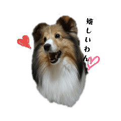 rinrin_20190115234006