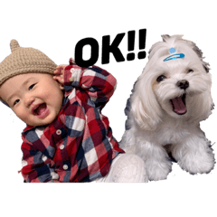 hachi_20190116124024