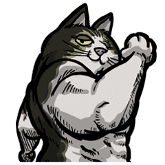 筋肉猫マックス Line スタンプ Line Store 筋肉猫マックス Line スタンプ Line Store