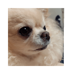Asako_20190117005059
