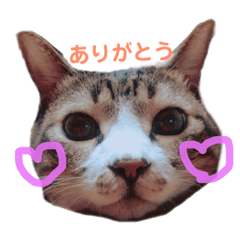 MINAKO_3