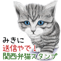 Miki Kansaiben soushin cat