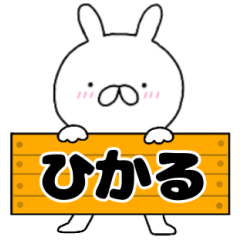 A dedicated name rabbit Hikaru