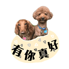 好胖的臘腸┇拎北叫本丸-Super2.0