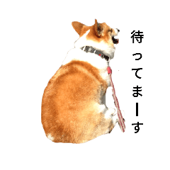 chihiro_20190117090225