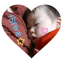 panda_20190117123324