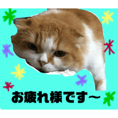 Hinata_20190117022442