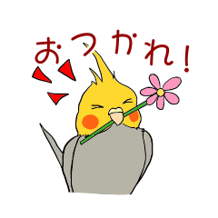 cute cockatiel's sticker