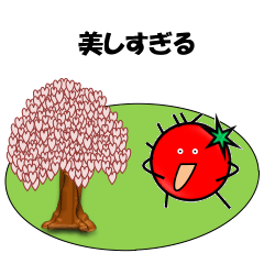 praise-Cherry blossom tree and Tomato?