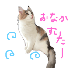rinrin_20190117002957