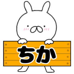 A dedicated name rabbit Tika