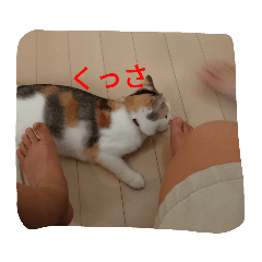 imo_20190114100905