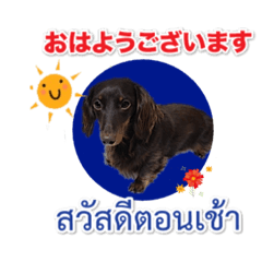 BUBU_201901171635444